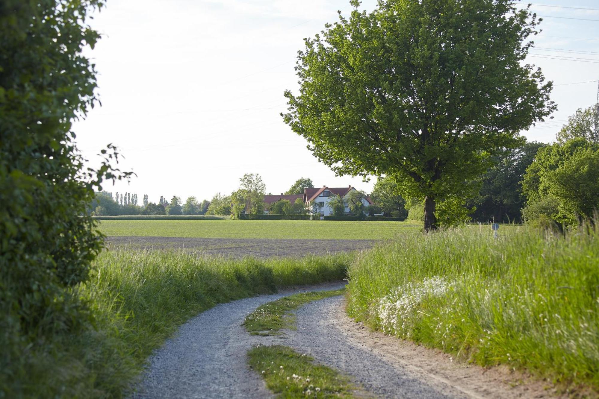 Apartment Ferienloft Lippe *